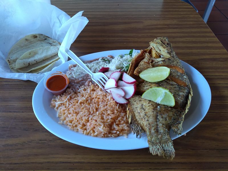 Taco Sinaloa food